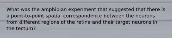 What was the amphibian experiment that suggested that there is a point-to-point spatial correspondence between the neurons from different regions of the retina and their target neurons in the tectum?