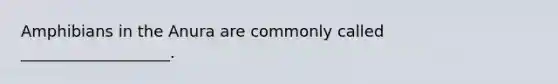 Amphibians in the Anura are commonly called ___________________.