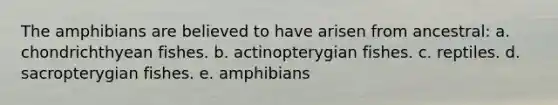 The amphibians are believed to have arisen from ancestral: a. chondrichthyean fishes. b. actinopterygian fishes. c. reptiles. d. sacropterygian fishes. e. amphibians