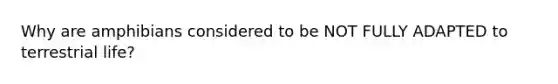 Why are amphibians considered to be NOT FULLY ADAPTED to terrestrial life?