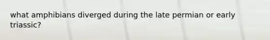 what amphibians diverged during the late permian or early triassic?