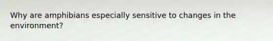 Why are amphibians especially sensitive to changes in the environment?