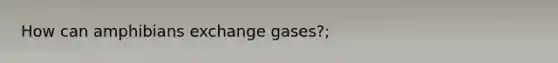 How can amphibians exchange gases?;