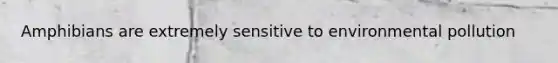 Amphibians are extremely sensitive to environmental pollution