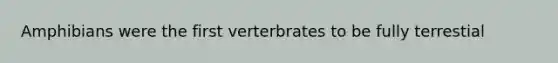 Amphibians were the first verterbrates to be fully terrestial