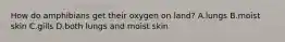 How do amphibians get their oxygen on land? A.lungs B.moist skin C.gills D.both lungs and moist skin