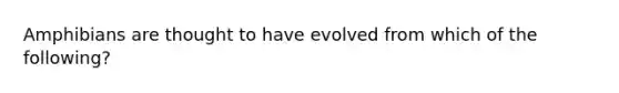 Amphibians are thought to have evolved from which of the following?