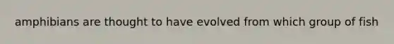 amphibians are thought to have evolved from which group of fish