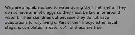 Why are amphibians tied to water during their lifetime? a. They do not have amniotic eggs so they must be laid in or around water b. Their skin dries out because they do not have adaptations for dry living c. Part of their lifecycle,the larval stage, is completed in water d.All of these are true