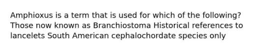 Amphioxus is a term that is used for which of the following? Those now known as Branchiostoma Historical references to lancelets South American cephalochordate species only