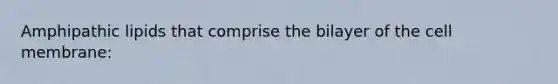 Amphipathic lipids that comprise the bilayer of the cell membrane: