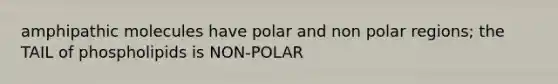 amphipathic molecules have polar and non polar regions; the TAIL of phospholipids is NON-POLAR