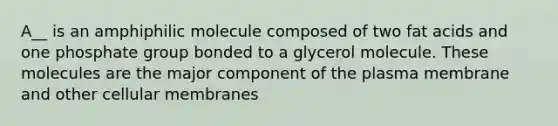 A__ is an amphiphilic molecule composed of two fat acids and one phosphate group bonded to a glycerol molecule. These molecules are the major component of the plasma membrane and other cellular membranes