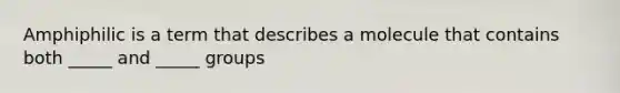 Amphiphilic is a term that describes a molecule that contains both _____ and _____ groups