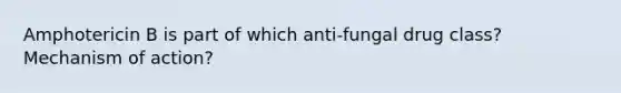 Amphotericin B is part of which anti-fungal drug class? Mechanism of action?