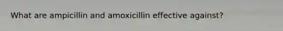 What are ampicillin and amoxicillin effective against?