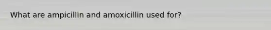 What are ampicillin and amoxicillin used for?