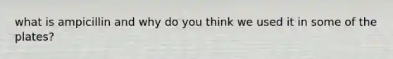 what is ampicillin and why do you think we used it in some of the plates?