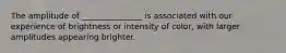 The amplitude of _______________ is associated with our experience of brightness or intensity of color, with larger amplitudes appearing brighter.