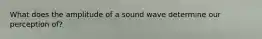 What does the amplitude of a sound wave determine our perception of?