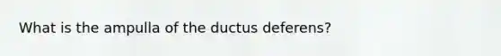 What is the ampulla of the ductus deferens?