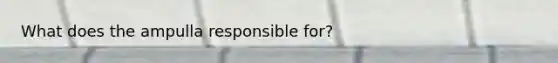What does the ampulla responsible for?