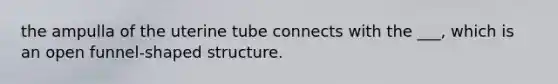 the ampulla of the uterine tube connects with the ___, which is an open funnel-shaped structure.