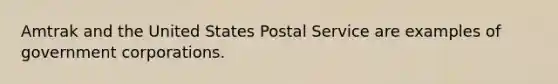 Amtrak and the United States Postal Service are examples of government corporations.