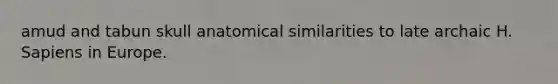 amud and tabun skull anatomical similarities to late archaic H. Sapiens in Europe.