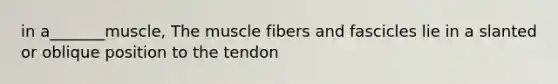 in a_______muscle, The muscle fibers and fascicles lie in a slanted or oblique position to the tendon