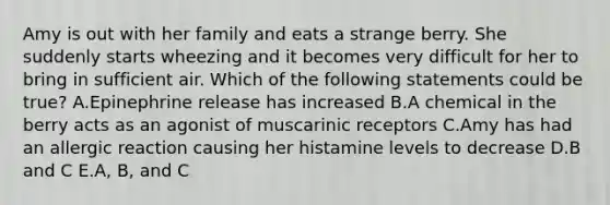 Amy is out with her family and eats a strange berry. She suddenly starts wheezing and it becomes very difficult for her to bring in sufficient air. Which of the following statements could be true? A.Epinephrine release has increased B.A chemical in the berry acts as an agonist of muscarinic receptors C.Amy has had an allergic reaction causing her histamine levels to decrease D.B and C E.A, B, and C