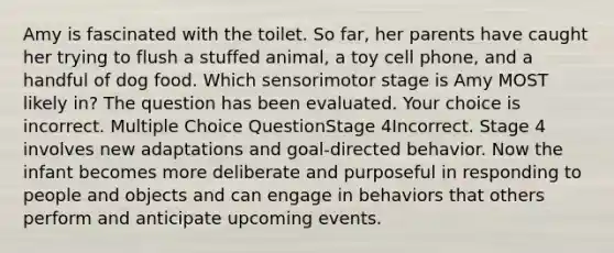 Amy is fascinated with the toilet. So far, her parents have caught her trying to flush a stuffed animal, a toy cell phone, and a handful of dog food. Which sensorimotor stage is Amy MOST likely in? The question has been evaluated. Your choice is incorrect. Multiple Choice QuestionStage 4Incorrect. Stage 4 involves new adaptations and goal-directed behavior. Now the infant becomes more deliberate and purposeful in responding to people and objects and can engage in behaviors that others perform and anticipate upcoming events.