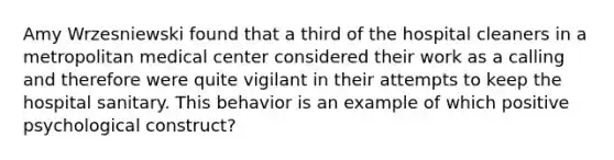 Amy Wrzesniewski found that a third of the hospital cleaners in a metropolitan medical center considered their work as a calling and therefore were quite vigilant in their attempts to keep the hospital sanitary. This behavior is an example of which positive psychological construct?