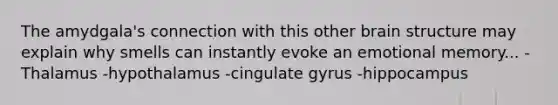 The amydgala's connection with this other brain structure may explain why smells can instantly evoke an emotional memory... -Thalamus -hypothalamus -cingulate gyrus -hippocampus