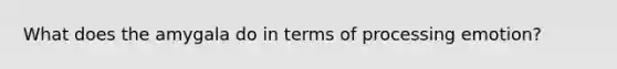 What does the amygala do in terms of processing emotion?