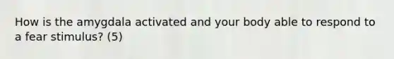 How is the amygdala activated and your body able to respond to a fear stimulus? (5)