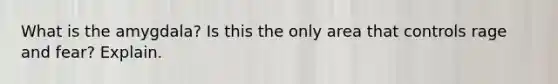 What is the amygdala? Is this the only area that controls rage and fear? Explain.