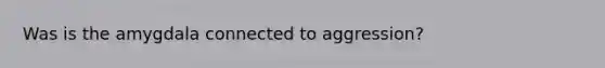 Was is the amygdala connected to aggression?