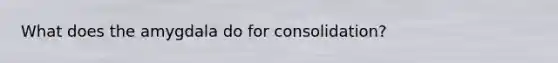 What does the amygdala do for consolidation?