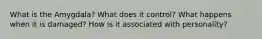 What is the Amygdala? What does it control? What happens when it is damaged? How is it associated with personality?