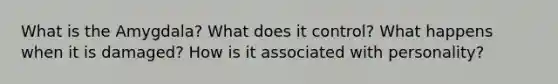 What is the Amygdala? What does it control? What happens when it is damaged? How is it associated with personality?
