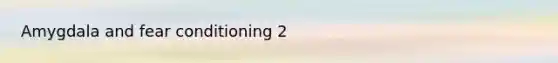 Amygdala and fear conditioning 2