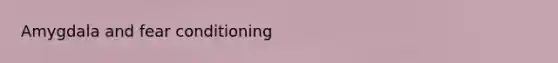 Amygdala and fear conditioning