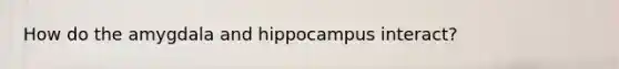 How do the amygdala and hippocampus interact?