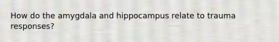 How do the amygdala and hippocampus relate to trauma responses?