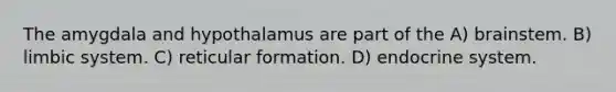 The amygdala and hypothalamus are part of the A) brainstem. B) limbic system. C) reticular formation. D) <a href='https://www.questionai.com/knowledge/k97r8ZsIZg-endocrine-system' class='anchor-knowledge'>endocrine system</a>.