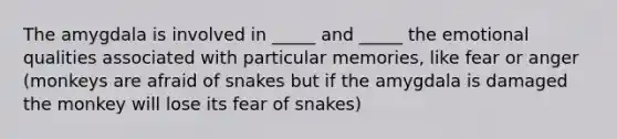 The amygdala is involved in _____ and _____ the emotional qualities associated with particular memories, like fear or anger (monkeys are afraid of snakes but if the amygdala is damaged the monkey will lose its fear of snakes)