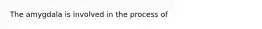 The amygdala is involved in the process of