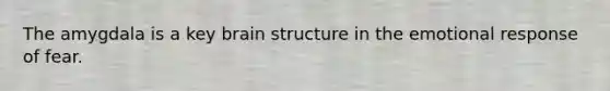 The amygdala is a key brain structure in the emotional response of fear.