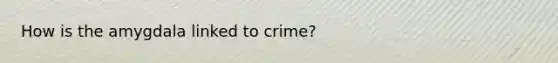 How is the amygdala linked to crime?